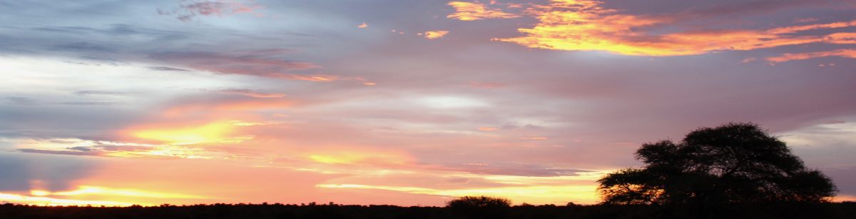 The Travelling Dixons