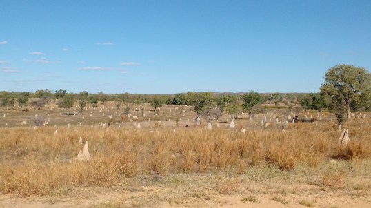 IMG_20170714_155015531