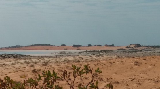 IMG_20170923_082853163