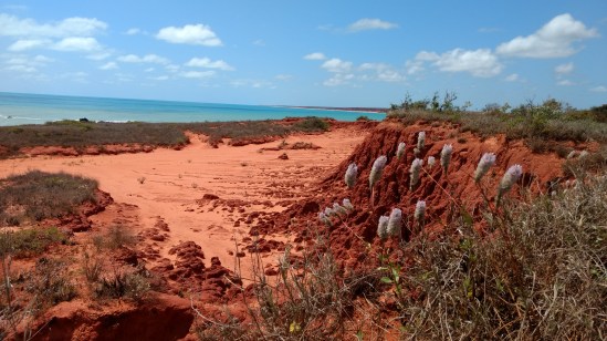 IMG_20170926_125507538