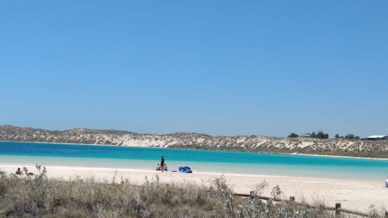 IMG_20171023_123401397