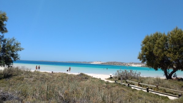 IMG_20171023_123520256