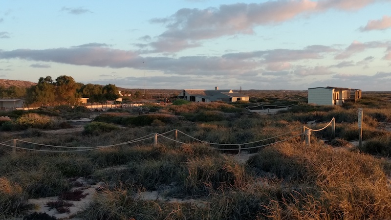 IMG_20171026_182440070_BURST000_COVER_TOP