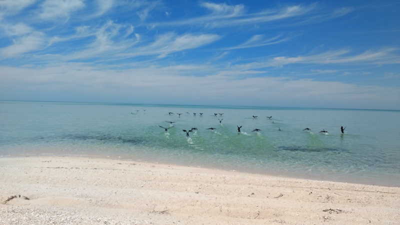 IMG_20171105_123731940