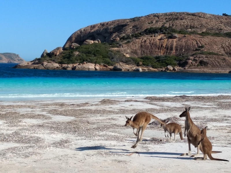 IMG_20171210_161311351