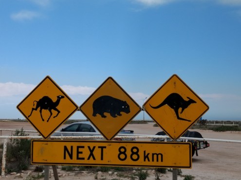 IMG_20171218_141018778