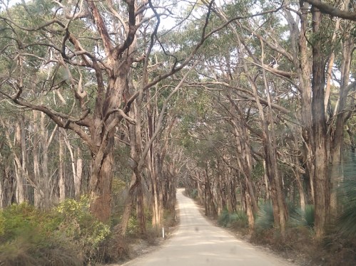 IMG_20190929_153033040